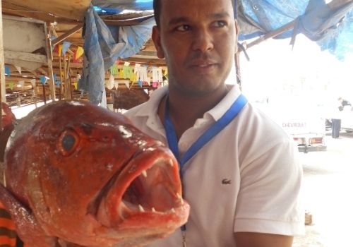Fischmarkt in Hurghada