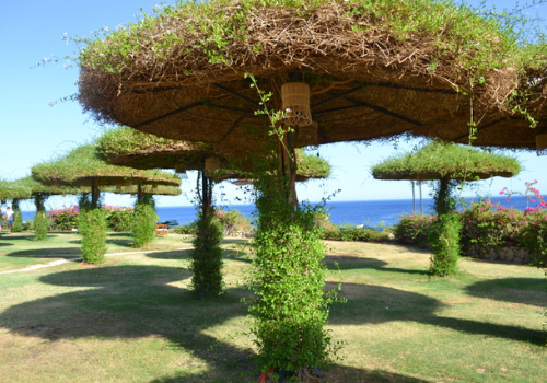 Gepflegter Garten des Siva Sharm Red Sea Hotels