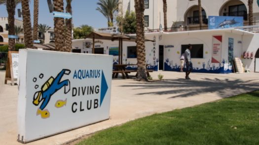 Tauchen lernen bei Aquarius Diving