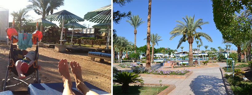 Erste Eindrücke im Ghazala Gardens in Sharm El Sheikh