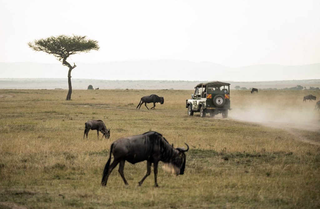 Die besten Nationalparks für eine Safari in Südafrika