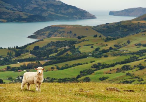 Neuseeland als tolle Herbstdestination